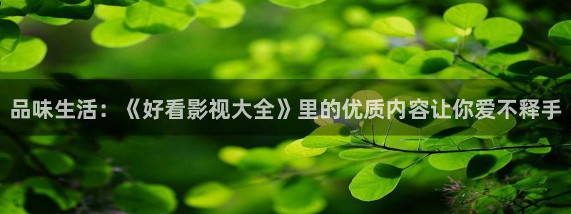 大秦赋极速影院