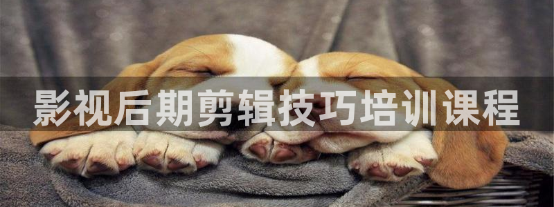 极速影院电视版