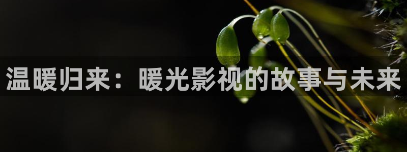 极速影院免费观看