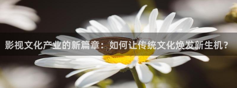 影视工场极速蓝光