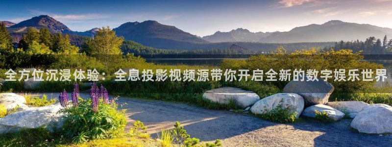 极速酷客 电影