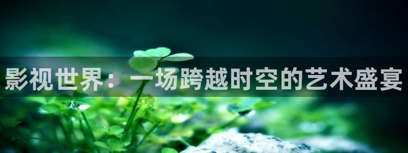 极速视频在线观看
